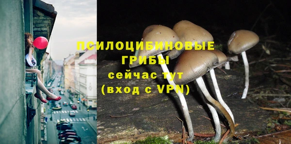 шишки Баксан