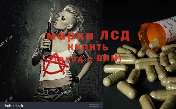 шишки Баксан