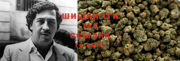 шишки Баксан