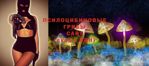 шишки Баксан