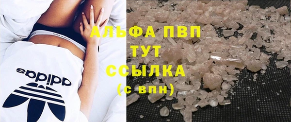 шишки Баксан