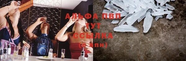 шишки Баксан