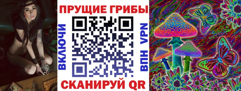 Псилоцибиновые грибы Psilocybine cubensis  Пересвет 